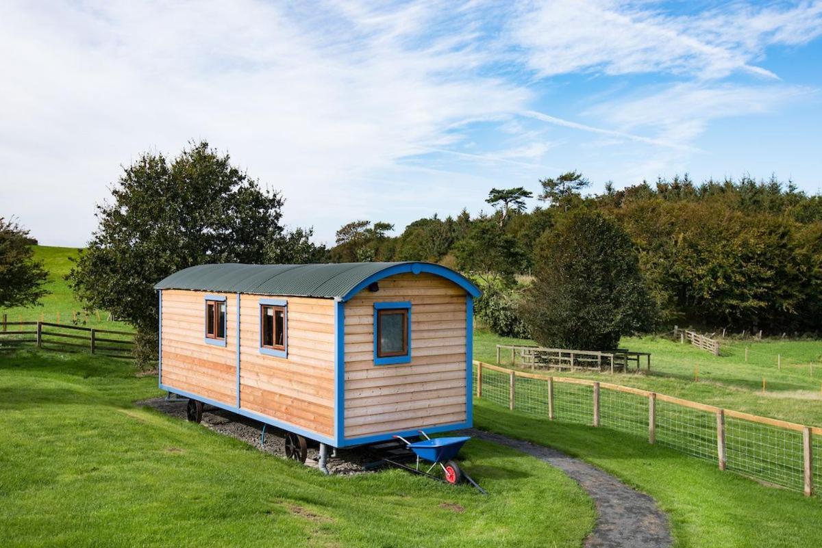 Cow Parsley Shepherd'S Hut Berwick Upon Tweed ภายนอก รูปภาพ