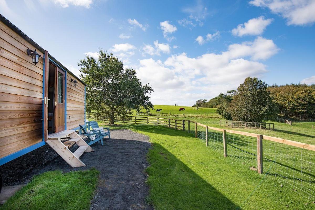 Cow Parsley Shepherd'S Hut Berwick Upon Tweed ภายนอก รูปภาพ