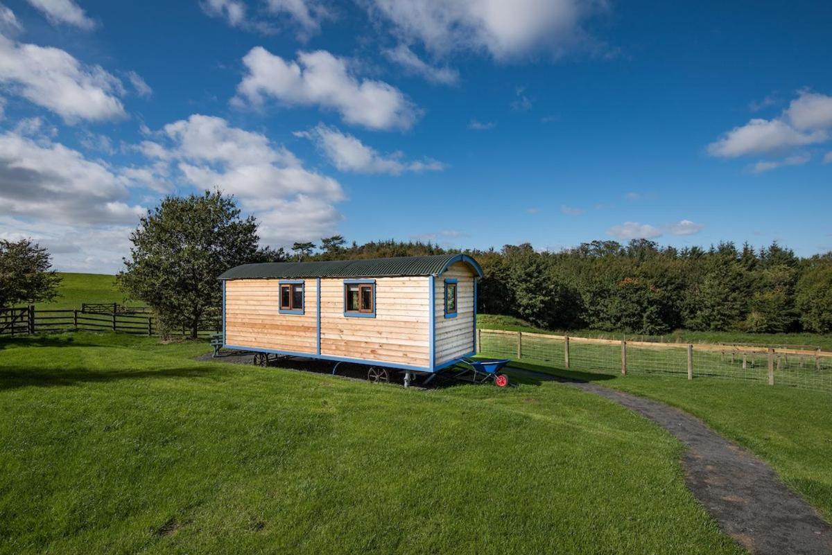 Cow Parsley Shepherd'S Hut Berwick Upon Tweed ภายนอก รูปภาพ